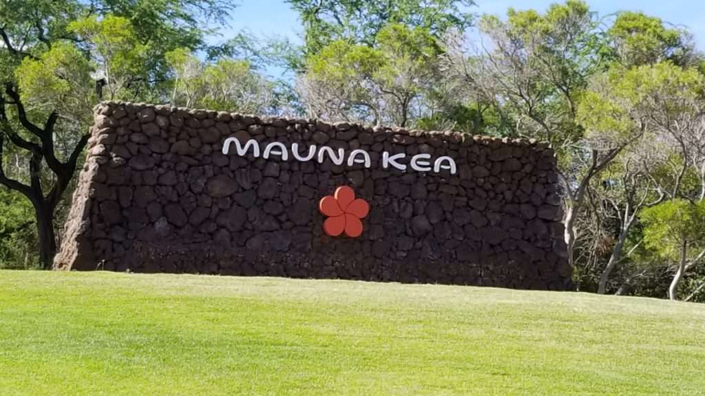 Mauna Kea Market Overview