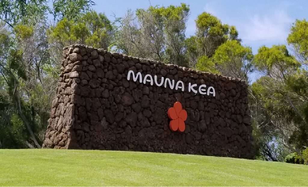 Mauna Kea Market Trends